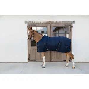 Waterproof and comfortable all-weather turnout rug for horses Kentucky 0g image-1