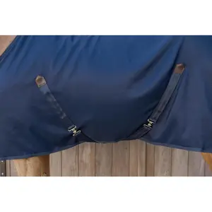 Waterproof and comfortable all-weather turnout rug for horses Kentucky 0g image-4