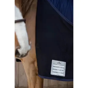 Waterproof and comfortable all-weather turnout rug for horses Kentucky 0g image-6