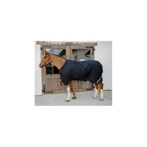 Waterproof and comfortable all-weather turnout rug for horses Kentucky 100g image-1