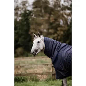 Waterproof horse rug Kentucky All Weather Hurricane 0g image-2