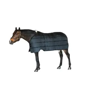 Coperta da paddock per cavalli Kentucky 300g image-0