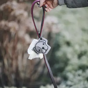 Dispenser för hundbajspåsar kentuckypooh ba image-3