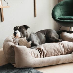 Hundekorb Kentucky Velvet image-1