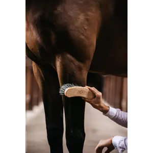 Harter Korken für Pferd Kentucky image-5