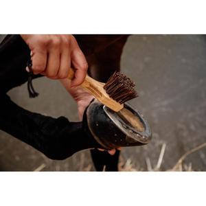 Horse hoof pick Kentucky image-2