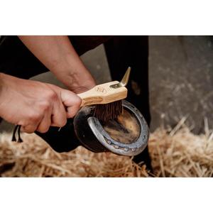 Horse hoof pick Kentucky image-3