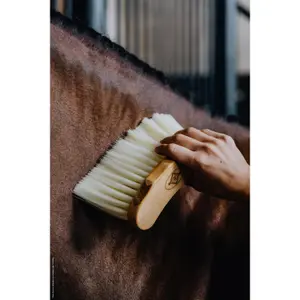 Bouchon moyen long pour cheval Kentucky image-5