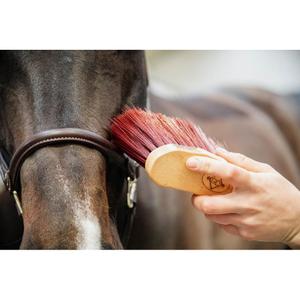 Medium long horse stopper Kentucky image-4