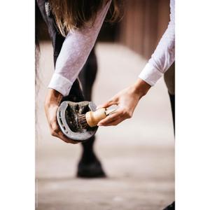 Small horse hoof pick Kentucky image-1