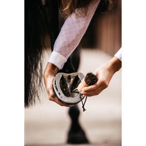 Small horse hoof pick Kentucky image-2