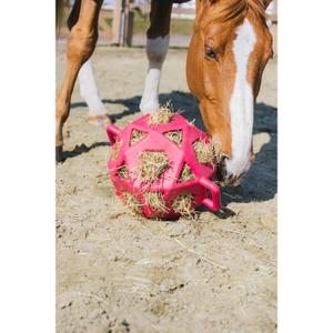 82153-14-l-palla-portafieno-kentucky-rosa-tu