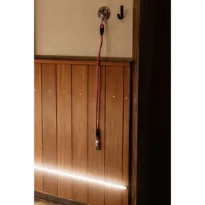 Reitgerte und gekreuzte Silikon-Verbinder Kentucky image-0