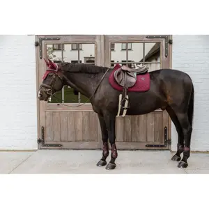 Ochraniacze dla koni Kentucky Bamboo Elastic image-4