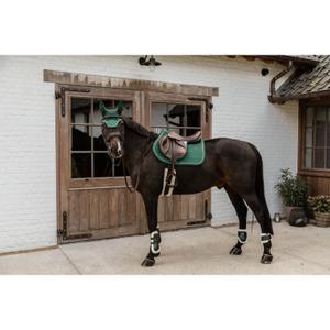 Offene Vordergamaschen für Pferde, elastisches Vegan Schaffell, Kentucky Bamboo image-4