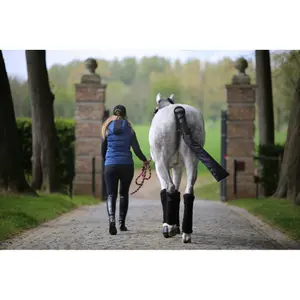 Paardenvoeten Kentucky Moonboot image-1