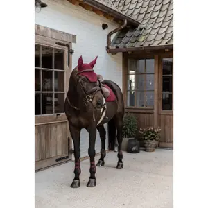 Streichkappen Kentucky image-4