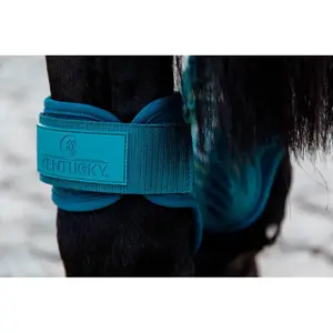 Fetlock guards for young horses Kentucky image-4