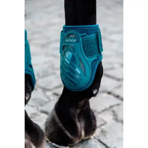 Fetlock guards for young horses Kentucky image-5