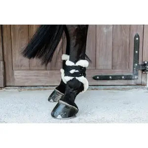 Fetlock Protectors Kentucky image-2