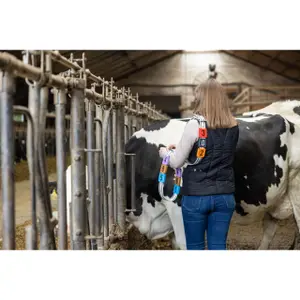 Nummerplaatje voor opvouwbare halsband Kerbl (x6) image-4