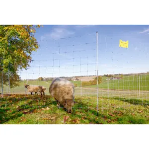 Netto Kerbl image-3