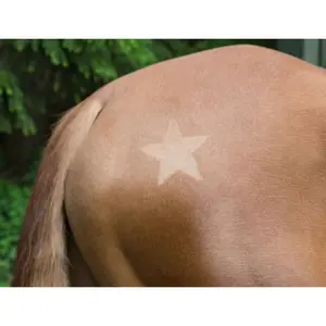 Riding stickers Kerbl (x3) image-3