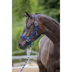 Halfter Pony 2 Einstellungen Kerbl mustang image-1