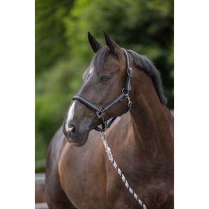 Cob-Halfter 2 Einstellungen Kerbl mustang image-1