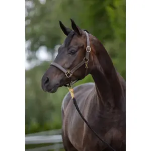Λουρί pony από δέρμα Kerbl eco image-0
