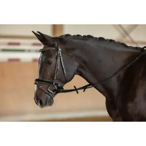 Saddle Strap Reins for Horse Kerbl image-1