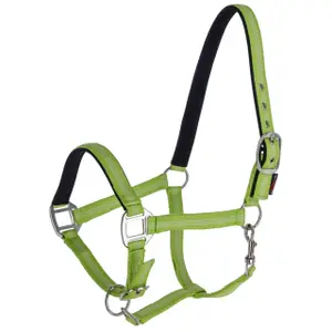 Halter for horse Kerbl Mustang image-0