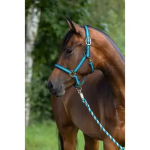 Halter for horse Kerbl Mustang image-1