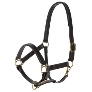 Leather halter for horses Kerbl Eco