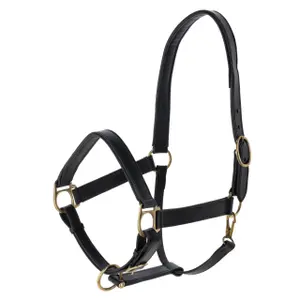 Leather halter for horses Kerbl Eco