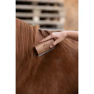 Short Equestrian Grooming Kit Kerbl Magic Fellboy image-1