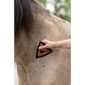 Triangle Riding Grooming Kit Kerbl Magic image-1