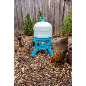 Drinking trough for poultry Kerbl image-2