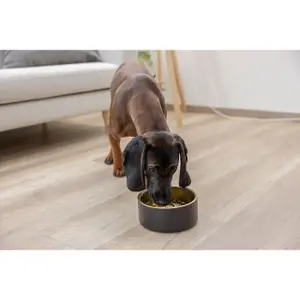 Stainless steel bowl Kerbl image-2