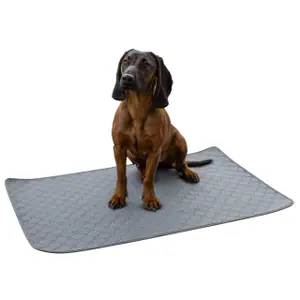 Absorbent and Washable Dog Mat Kerbl image-1