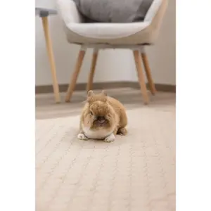 Absorberande och tvättbar hundmatta Kerbl image-4