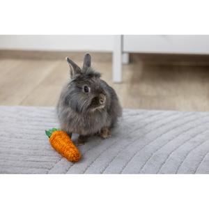 Jouet pour rongeurs Carotte en sisal Kerbl image-1