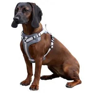 Dog harness Kerbl Fitty image-1