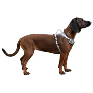 Dog harness Kerbl Fitty image-2