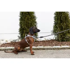 Dog harness Kerbl Fitty image-3