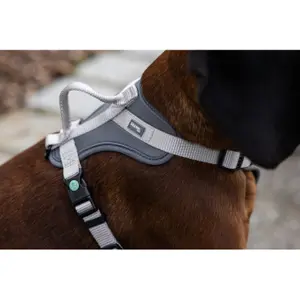 Dog harness Kerbl Fitty image-4