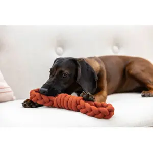 Braided Cotton Rope Dog Toy Kerbl image-1