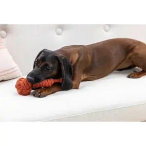 Hundespielzeug aus Seil mit Griff Kerbl image-1