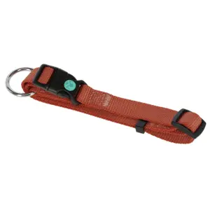 Dog collar Kerbl Miami image-1