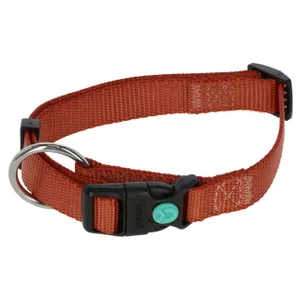 Dog collar Kerbl Miami image-0